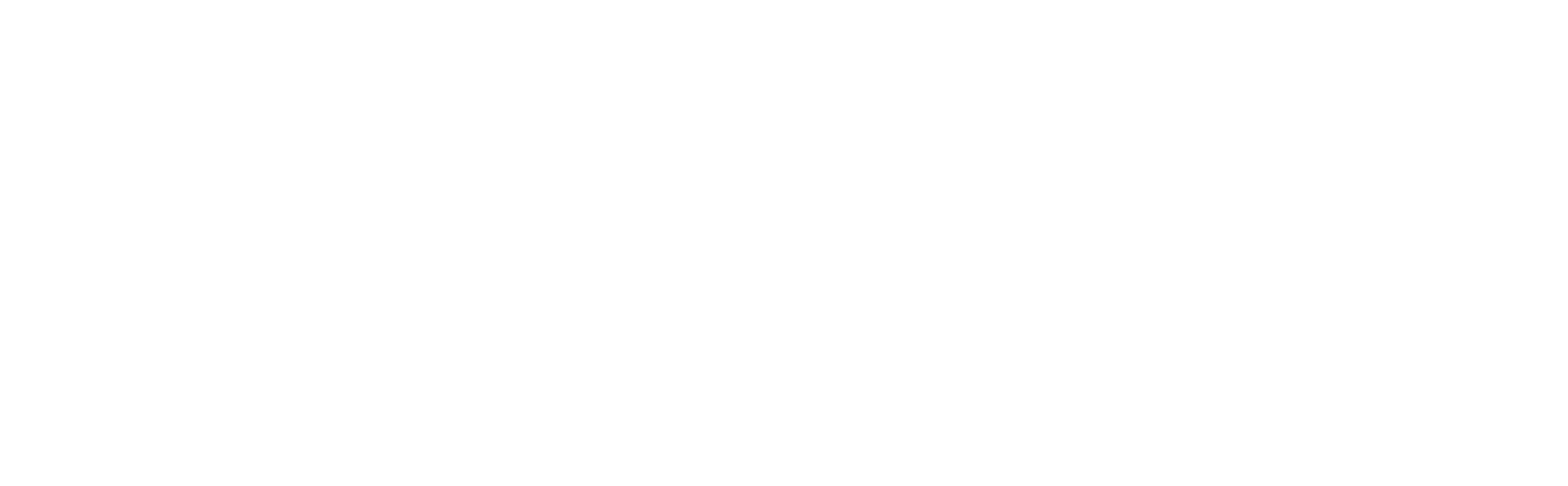 BVE